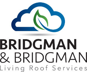 Bridgman & Bridgman LLP